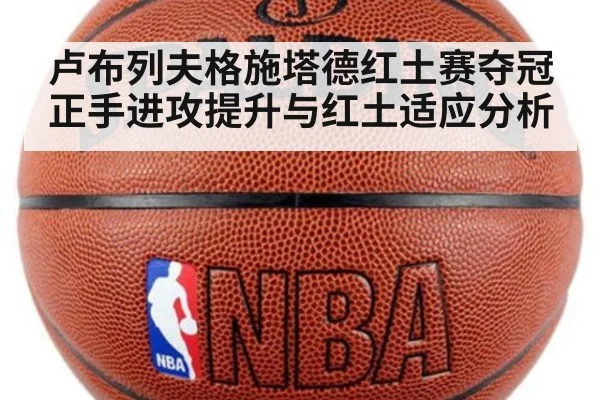 卢布列夫格施塔德红土赛夺冠正手进攻提升与红土适应分析